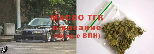 гашик Дмитриев