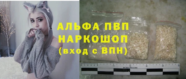 гашик Дмитриев