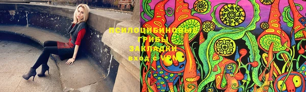 гашик Дмитриев