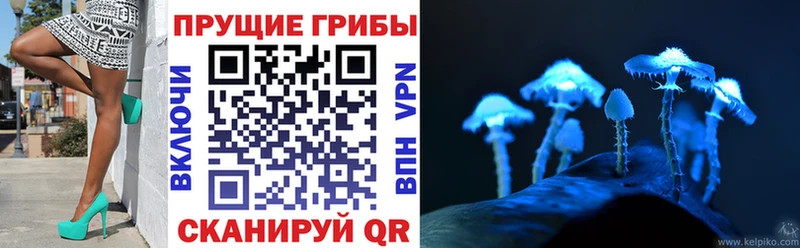 Галлюциногенные грибы прущие грибы  Купить  Калининград 
